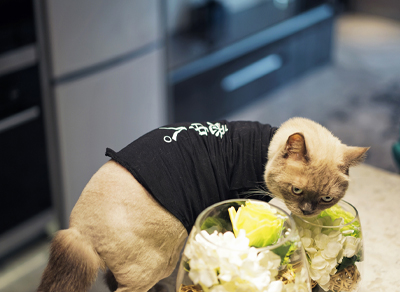 越秀時光-59㎡時尚現代簡約